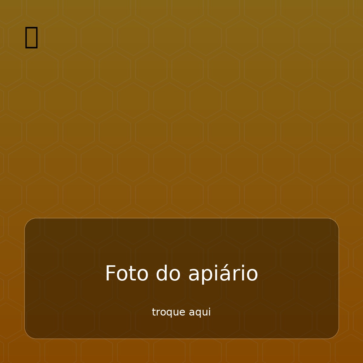 Foto do apiário e colmeias